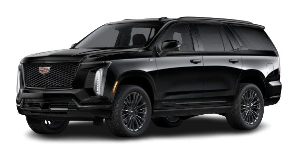 Executive SUV 1